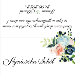 Winietka